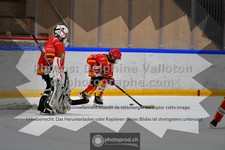 ref. photo 3541413
