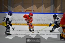ref. photo 3541414