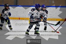 ref. photo 3541415
