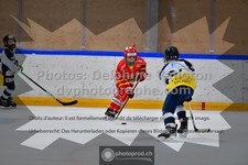 ref. photo 3541426