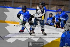 ref. photo 3541461
