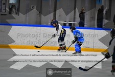 ref. photo 3541463