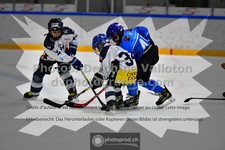 ref. photo 3541470