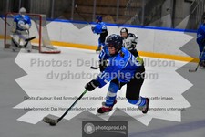 ref. photo 3541491