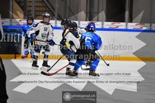 ref. photo 3541499