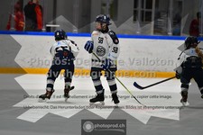 ref. photo 3541500