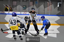 ref. photo 3541508