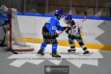 ref. photo 3541509