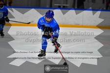 ref. photo 3541515