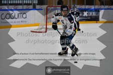 ref. photo 3541520