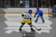 ref. photo 3541534