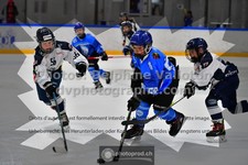 ref. photo 3541547