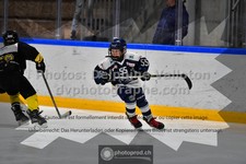 ref. photo 3541600