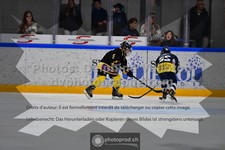 ref. photo 3541686
