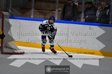 ref. photo 3541715