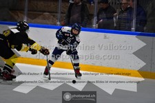 ref. photo 3541716