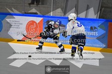 ref. photo 3541740