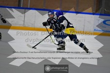 ref. photo 3541809