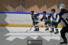 ref. photo 3541818