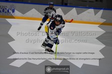 ref. photo 3541918