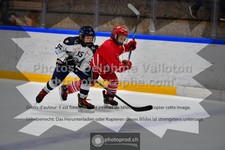 ref. photo 3541951
