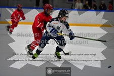 ref. photo 3542001