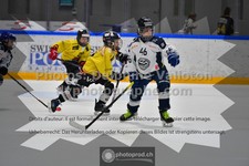 ref. photo 3542045
