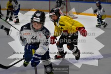 ref. photo 3542145