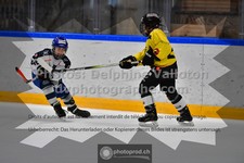 ref. photo 3542148