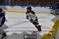 ref. photo 3542158