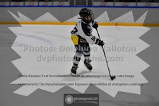 ref. photo 3542247
