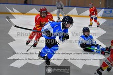 ref. photo 3542316