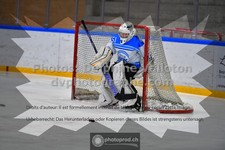 ref. photo 3542335
