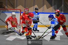 ref. photo 3542341