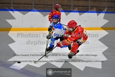ref. photo 3542343