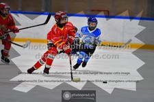 ref. photo 3542401