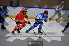 ref. photo 3542402