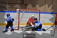 ref. photo 3542409