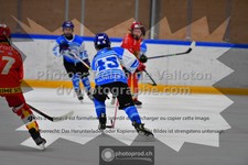 ref. photo 3542417