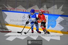 ref. photo 3542423
