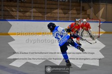 ref. photo 3542425
