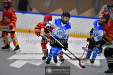 ref. photo 3542441