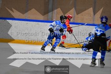ref. photo 3542443