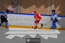 ref. photo 3542444