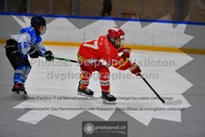 ref. photo 3542448
