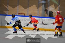 ref. photo 3542454