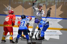 ref. photo 3542455