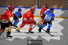 ref. photo 3542464