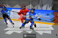 ref. photo 3542465
