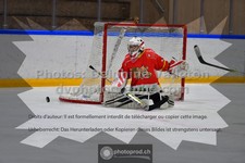ref. photo 3542469